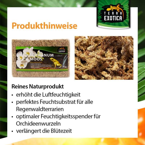 Terra Exotica Sphagnum Moos - ca. 500g